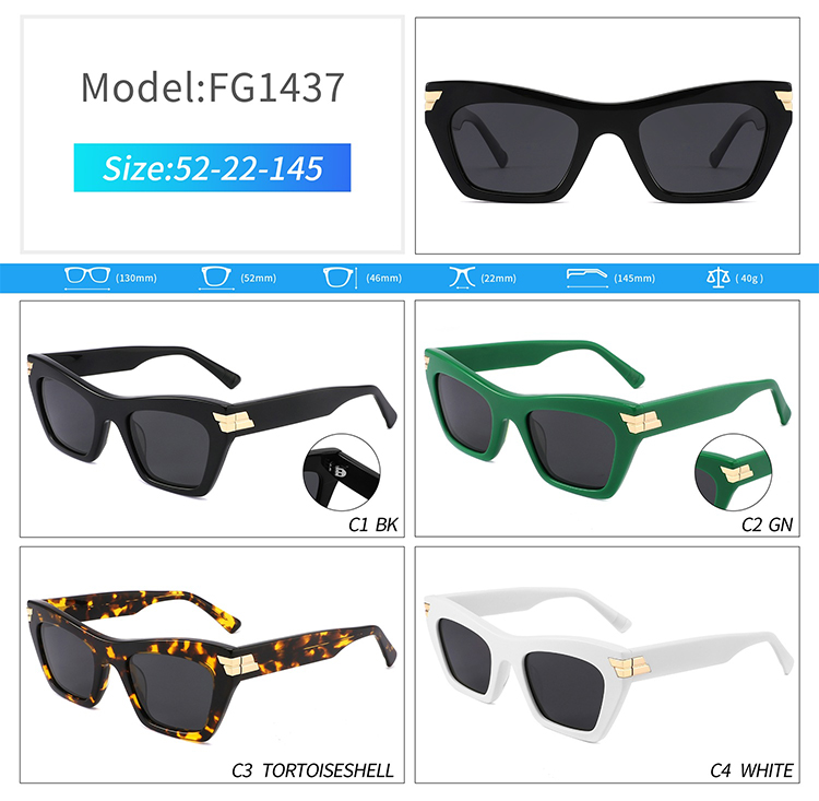 FG1437-luxury sunglasses for men FG1437-lunettes de soleil de luxe pour hommes