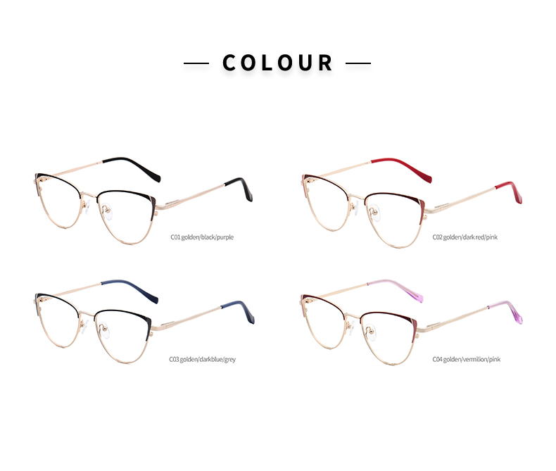 Montures Vintage Spectacles_color