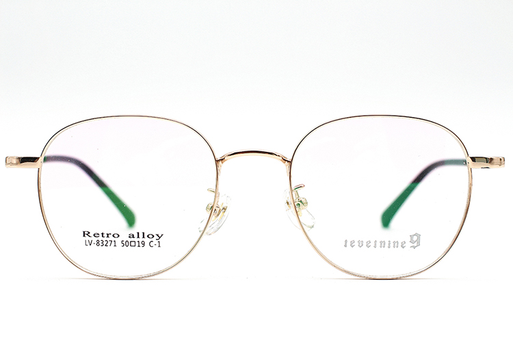 Lunettes élégantes pour hommes_C1