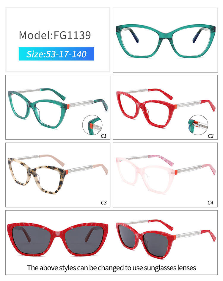FG1139 lunettes à grande monture FG1139