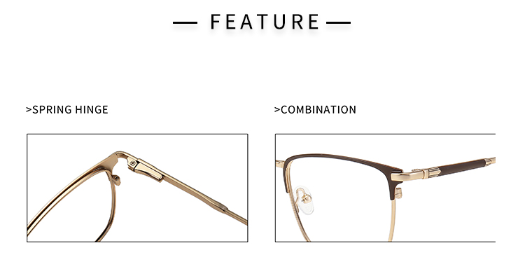 Montures de lunettes pour hommes LM-1019 (3)