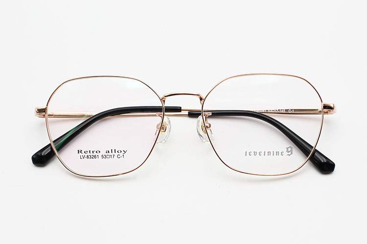 Lunettes à monture fine_C1