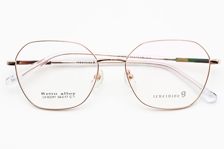 Lunettes pour hommes à monture en métal_C1