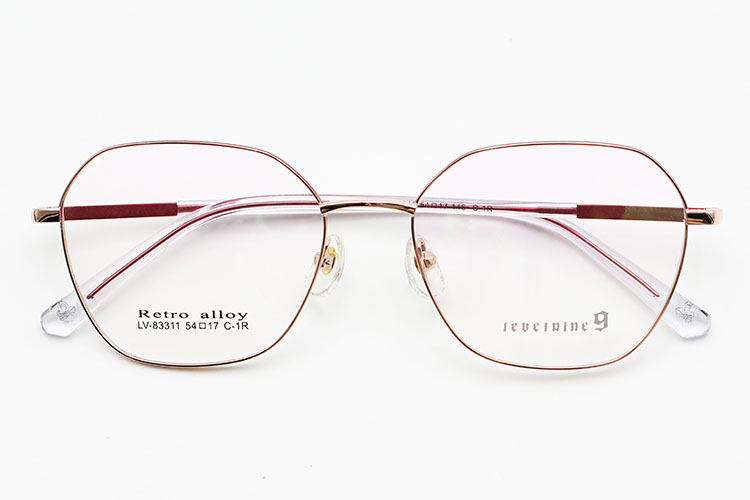 Lunettes pour hommes à monture en métal_C1R