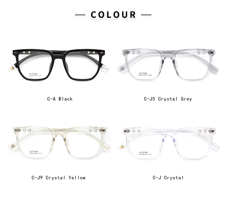 monture optique tr90_color