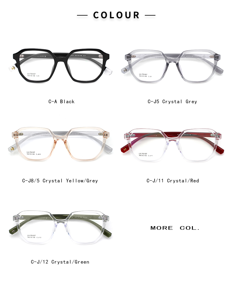 monture tr90 optic_color