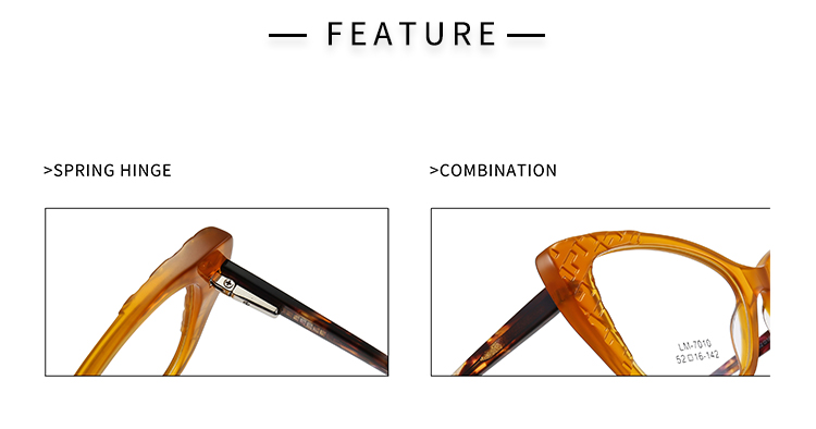 Nouvelles montures de lunettes - Détails