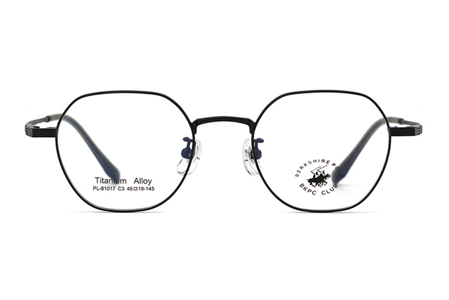 Montures de lunettes en métal en gros 81017