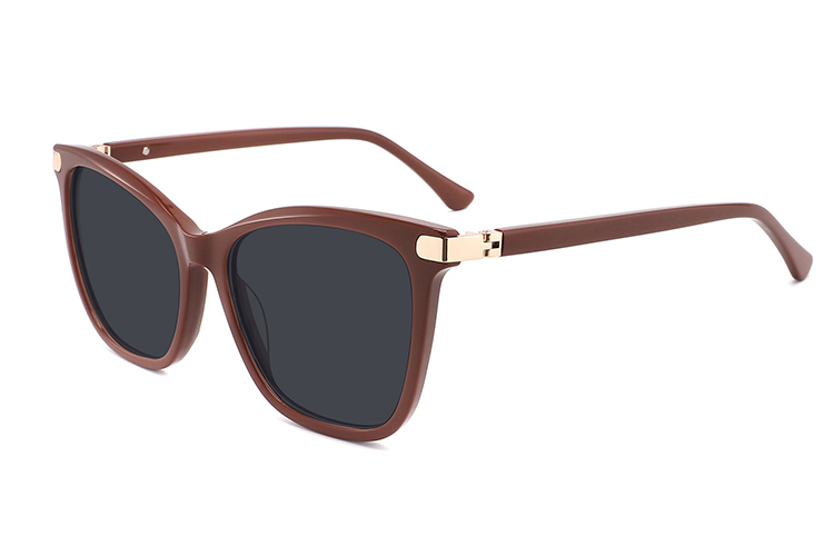 Lunettes de soleil en acétate-ZD8825T