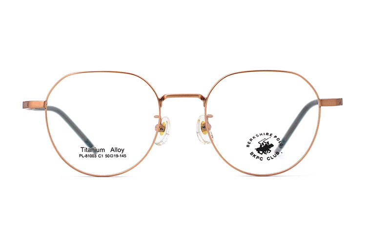 Montures de lunettes en métal en gros 81003