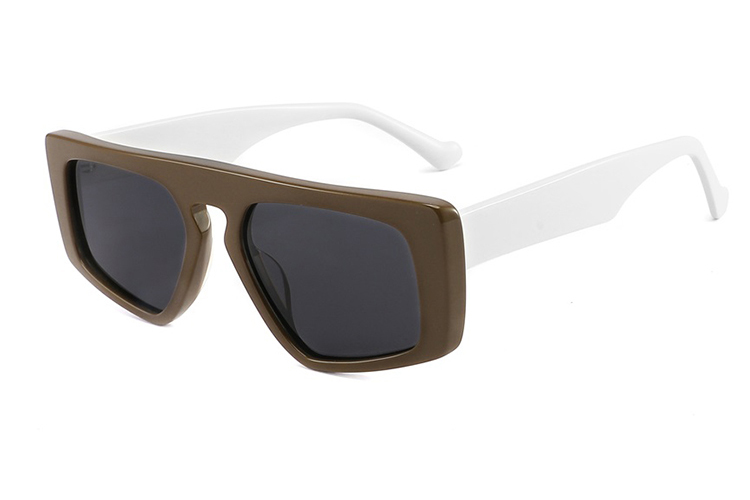 Lunettes de soleil en acétate-FG1533T