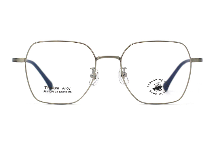 Montures de lunettes en métal en gros 81006