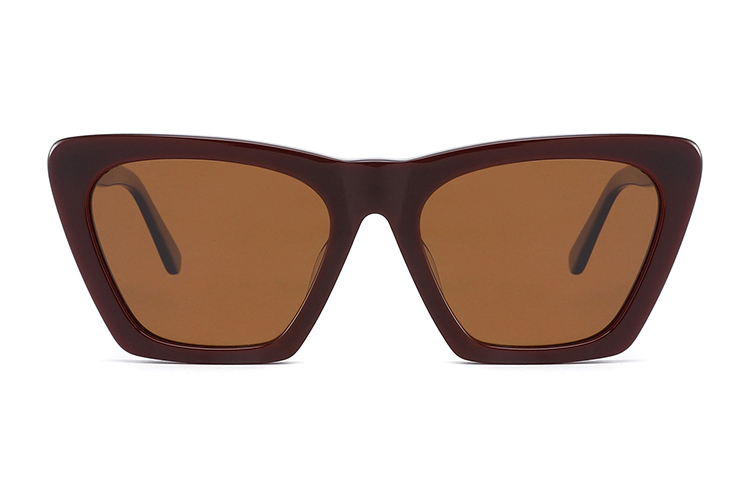 Lunettes de soleil en acétate-FG1233T