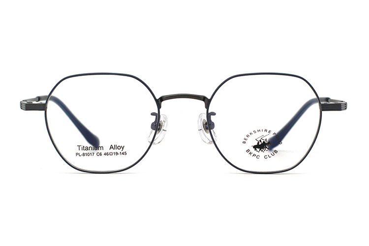 Montures de lunettes en métal en gros 81017