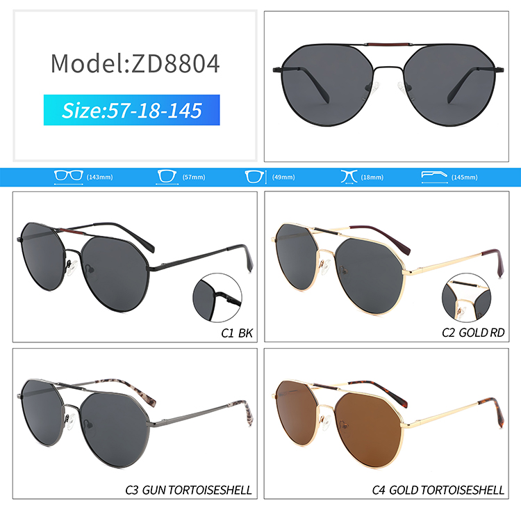 Lunettes de soleil pour hommes ZD8804-metal