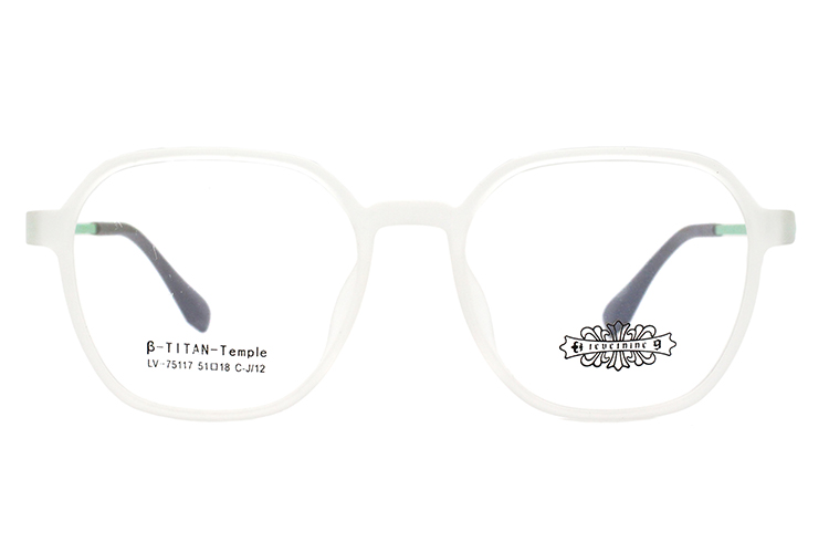 Monture de lunettes Tr90 en gros 75117