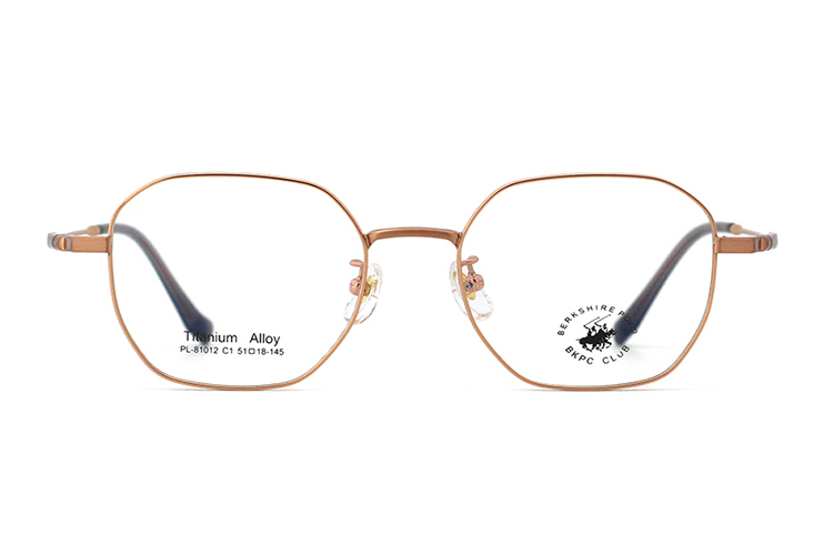 Montures de lunettes en métal en gros 81012