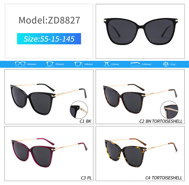 Lunettes de soleil polaris&eacute;es ZD8827-wholesale pour hommes
