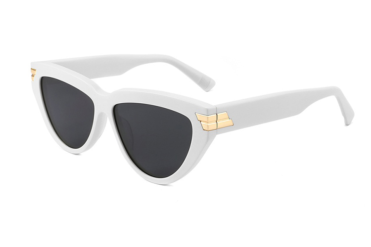 Lunettes de soleil en acétate-FG1438T