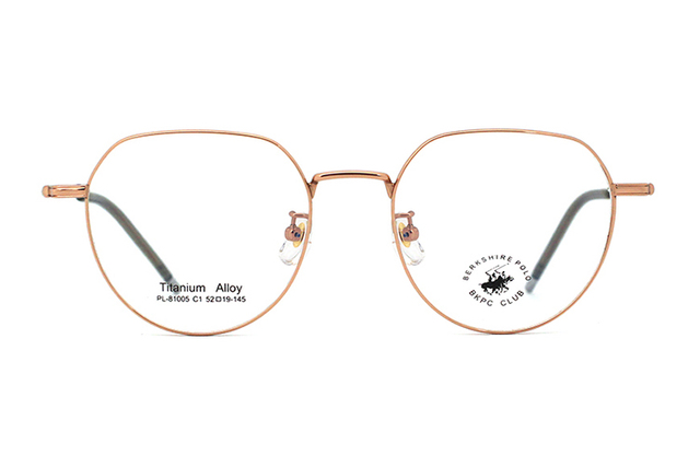 Montures de lunettes en métal en gros 81005