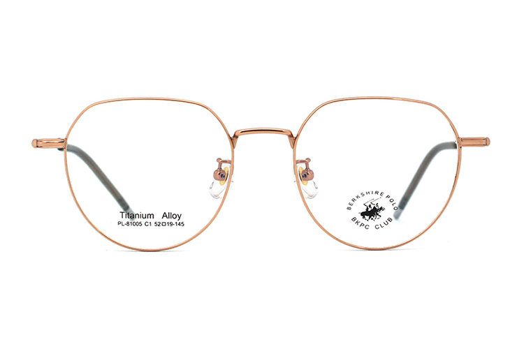 Montures de lunettes en métal en gros 81005