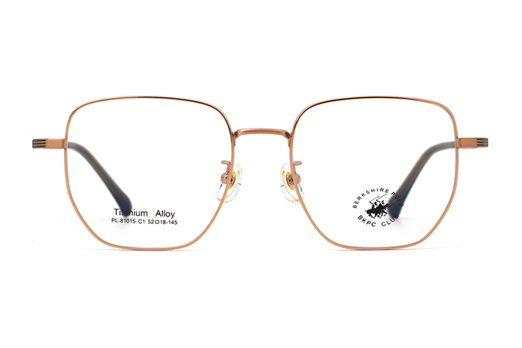 Montures de lunettes en métal en gros 81015