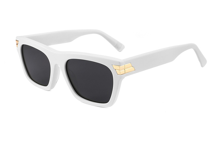 Lunettes de soleil en acétate-FG1436T