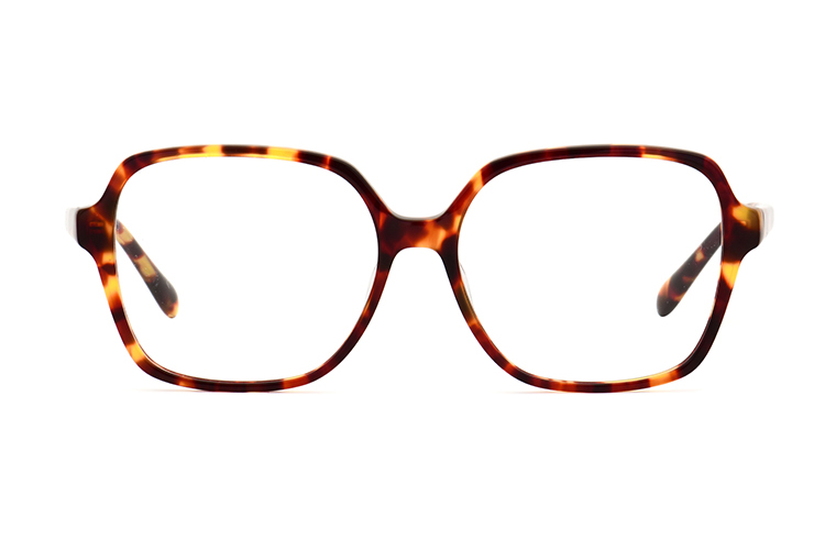 Monture de lunettes en acétate en gros WXA22028