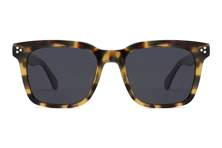 Lunettes de soleil en acétate-FG1568T