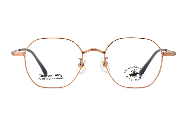Montures de lunettes en métal en gros 81016