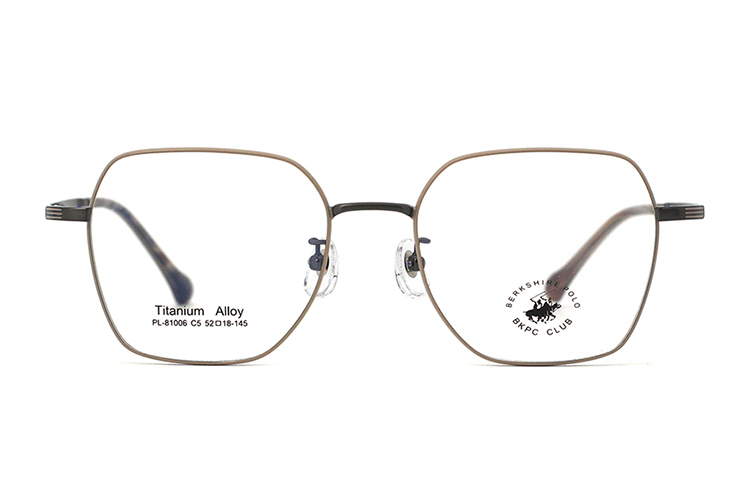 Montures de lunettes en métal en gros 81006