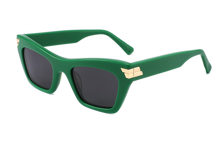 Lunettes de soleil en acétate-FG1437T