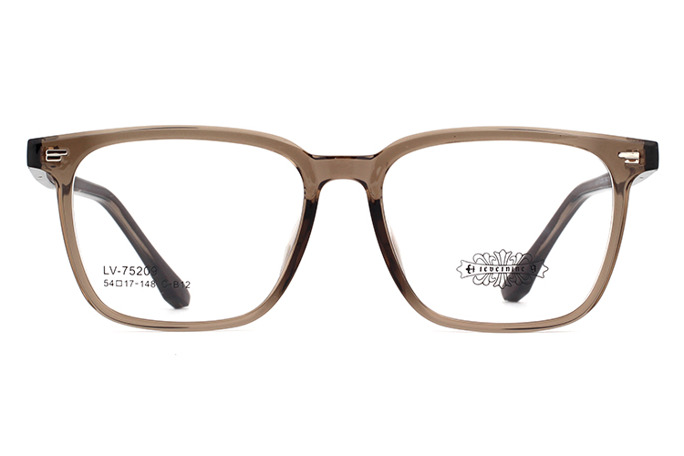 Montures de lunettes Tr90 en gros 75209