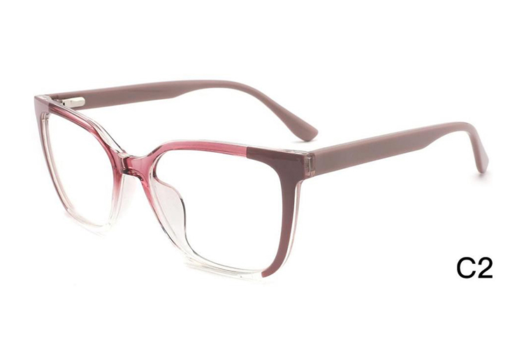 Monture de lunettes Tr90 TS2010, vente en gros
