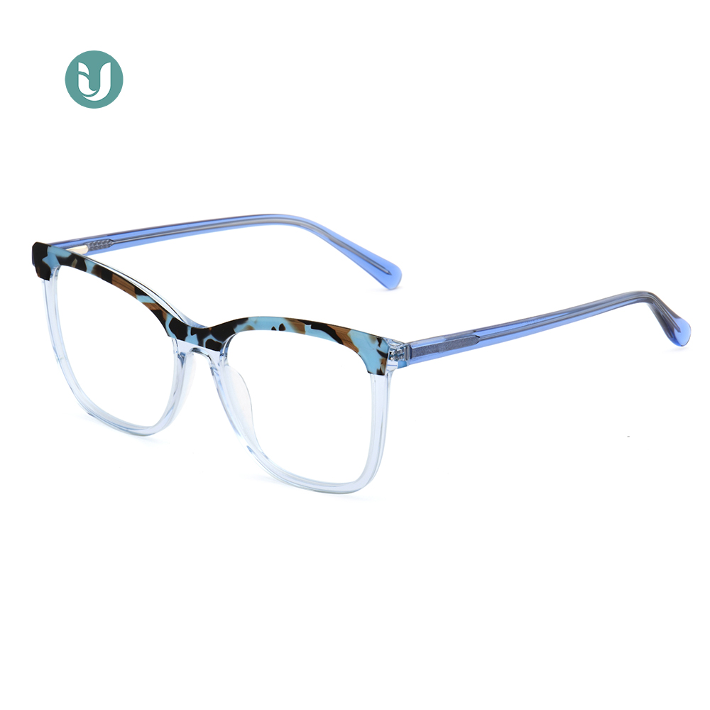 Monture de lunettes en acétate en gros WXA21071