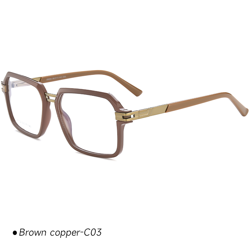 Montures de lunettes Tr90 en gros HT6002