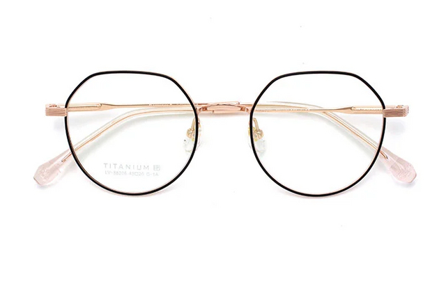 Montures de lunettes en titane en gros 88206