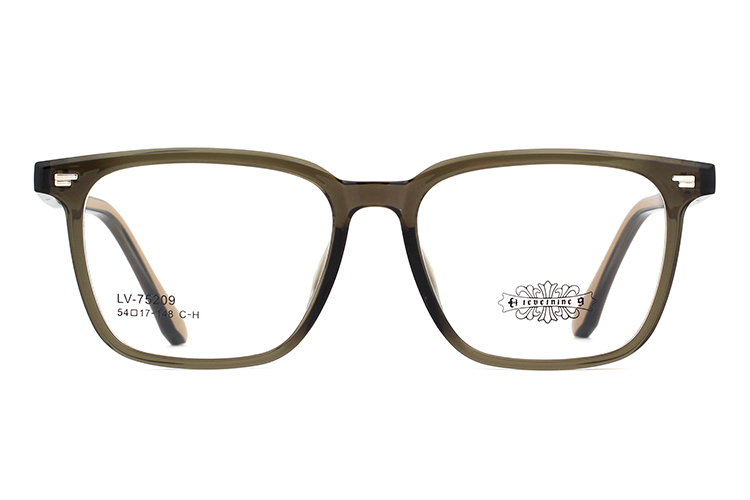 Montures de lunettes Tr90 en gros 75209