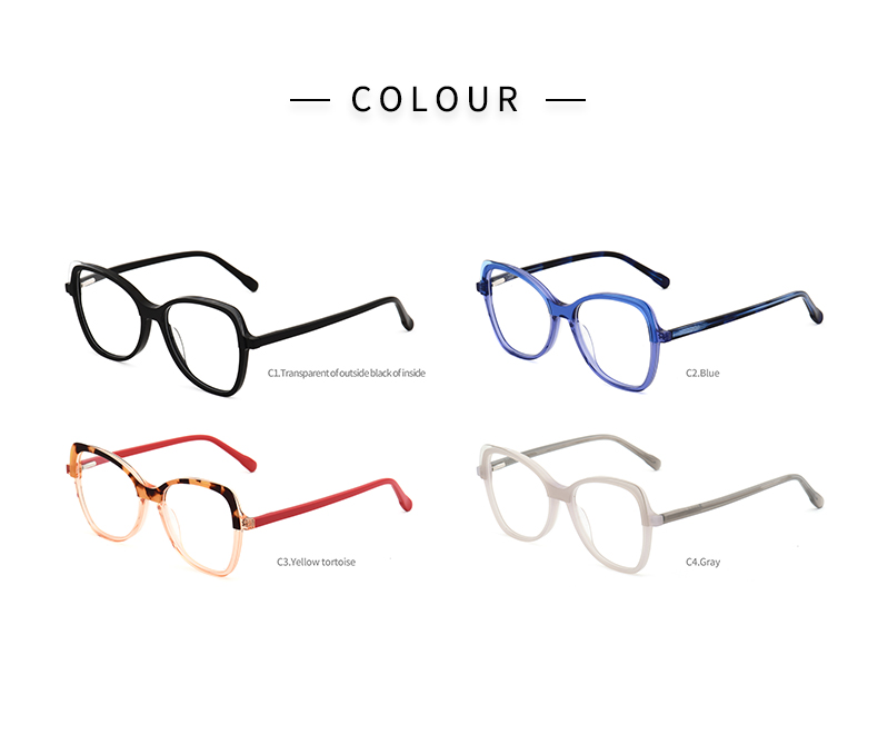 Lunettes optiques_color