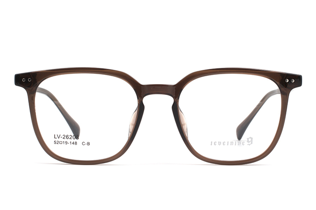 Montures de lunettes Levelnine Tr90 en gros 26208