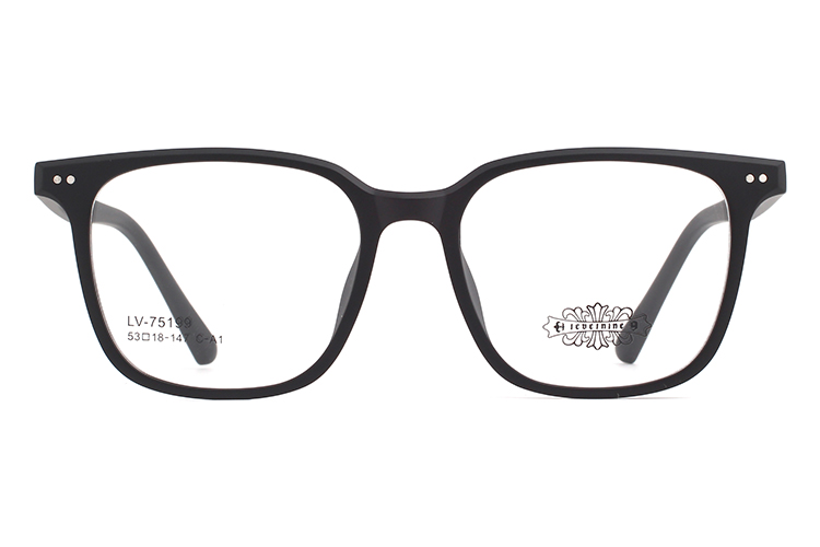 Montures de lunettes Tr90 en gros 75199