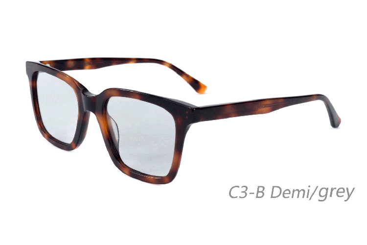 Lunettes de soleil en acétate-BAF5004S