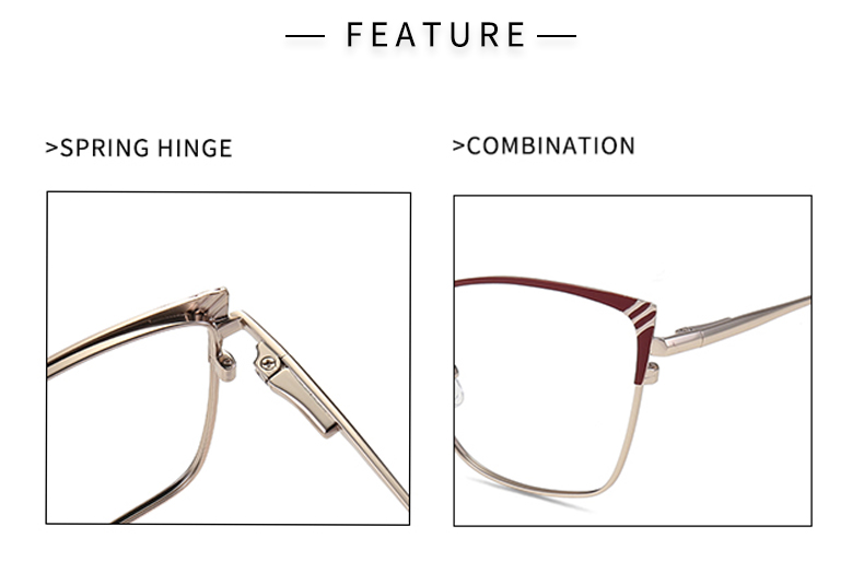 Monture Lunettes Optique IU-LM1001_03