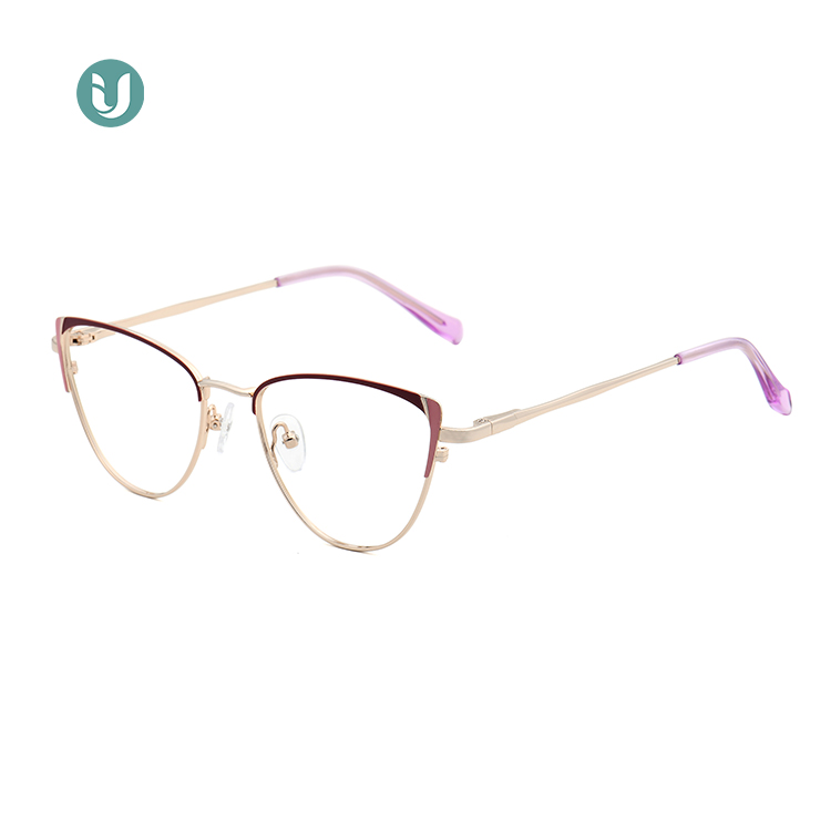 Montures de lunettes en métal en gros WX21014