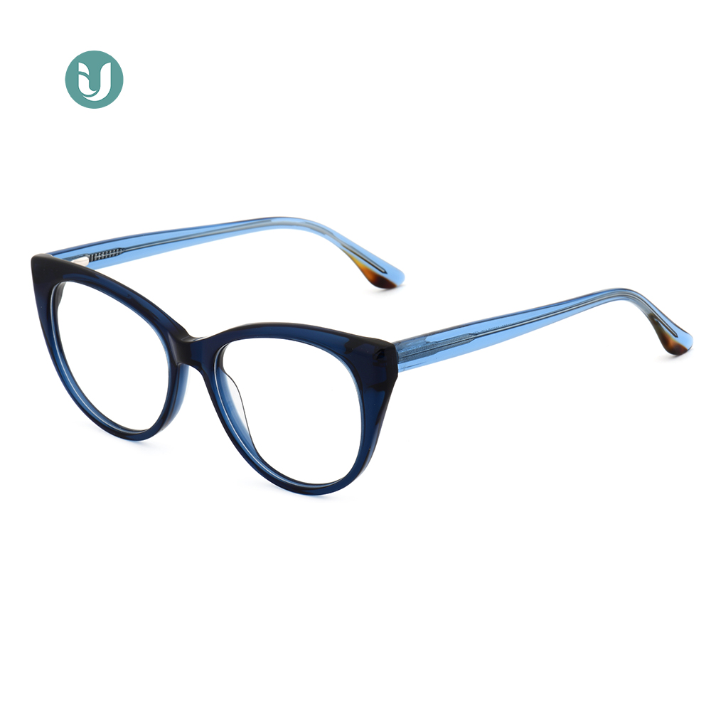 Montures de lunettes en acétate en gros WXA21053