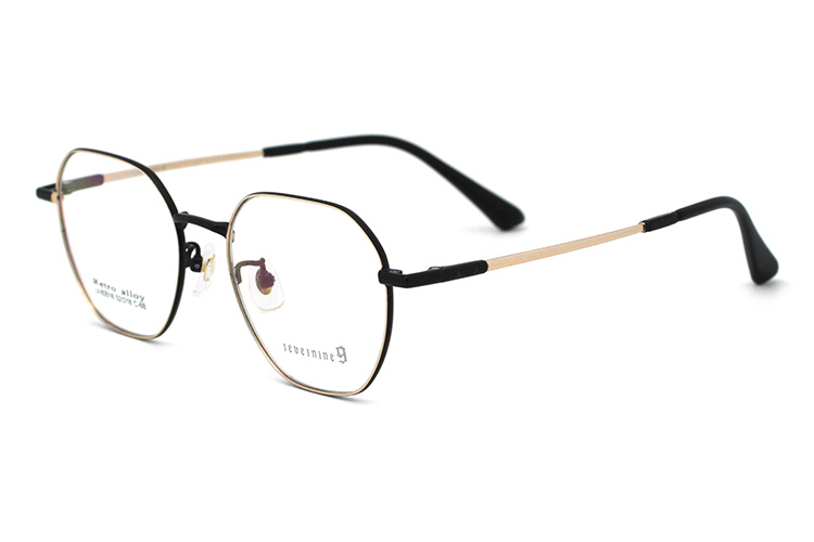 montures optiques m&eacute;talliques-1 