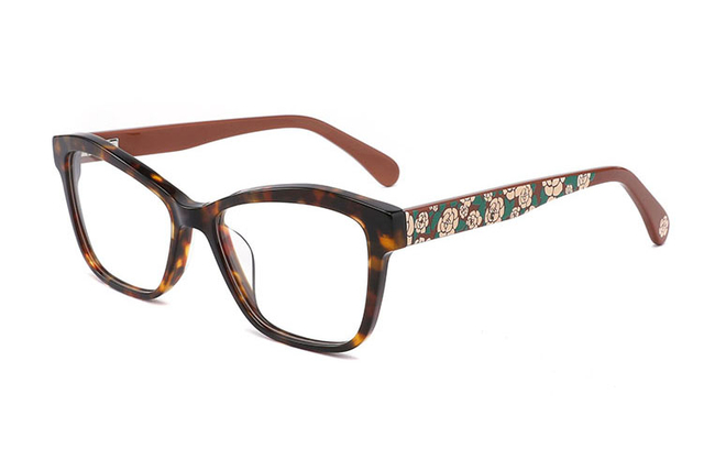 Monture de lunettes en acétate en gros FG1225