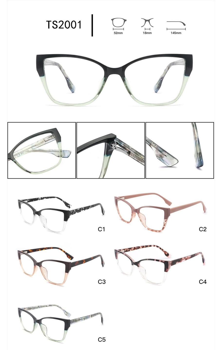 montures de lunettes r&eacute;tro hommes TS2001