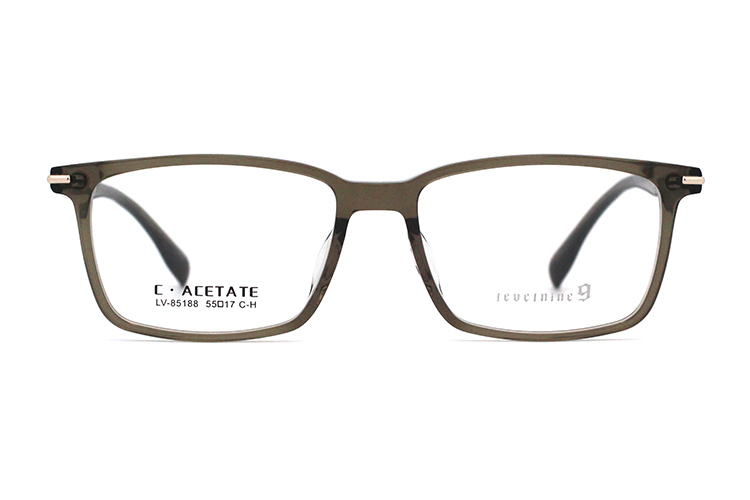 Montures de lunettes en acétate LevelNine 85188