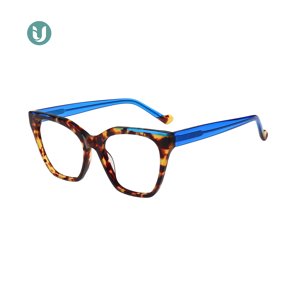 Montures de lunettes en acétate en gros LM6008